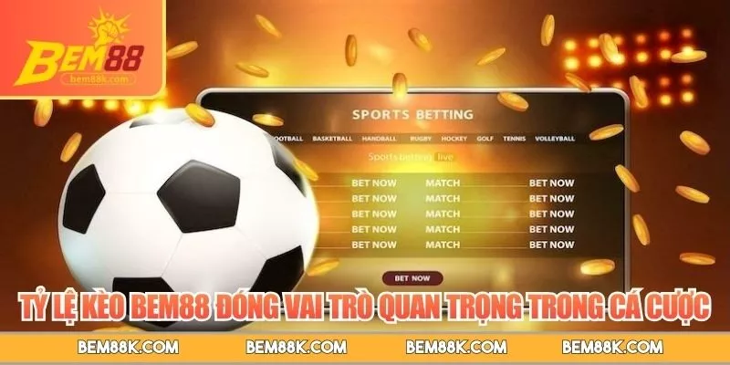 Tỷ lệ kèo BEM88 đóng vai trò quan trọng trong cá cược